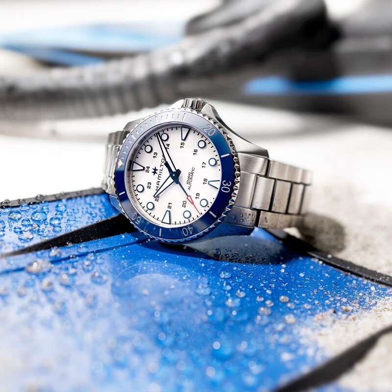 Mechanical Diving Watch Purchasing Guide