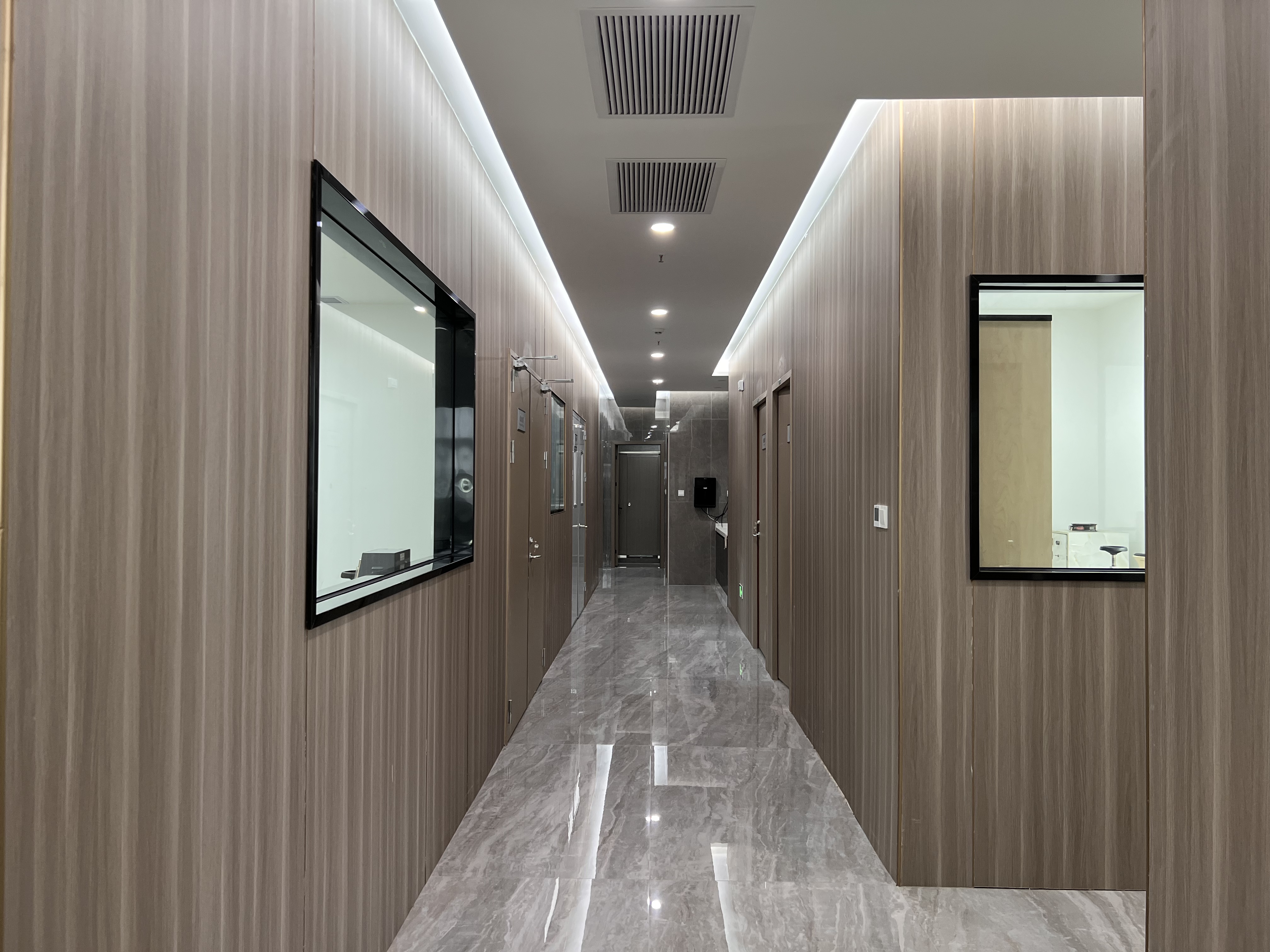 Introduction to the Seagull ST19 Movement(图4)